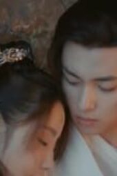 Nonton Film Special Lady Season 1 Episode 31 Terbaru